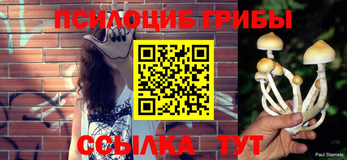 Галлюциногенные грибы MAGIC MUSHROOMS  Вход с VPN  Норильск 